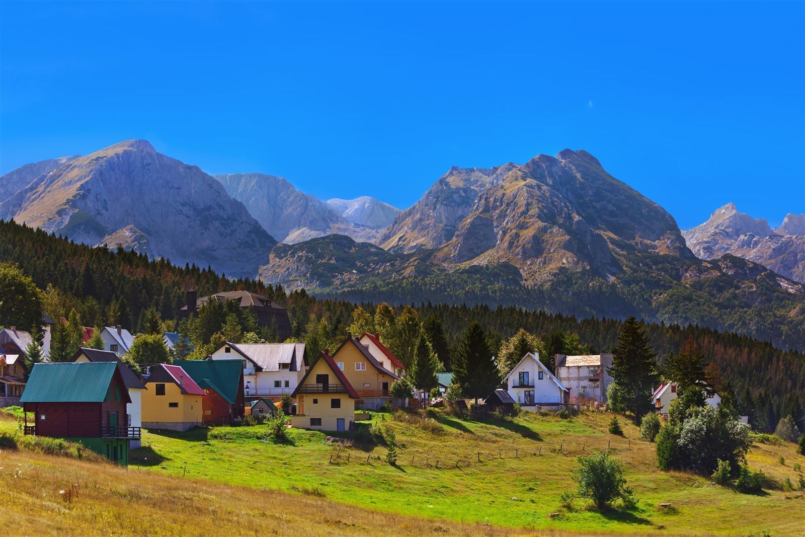 Blick auf die Berge in Zabljak
